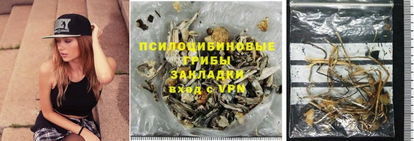 spice Богородицк