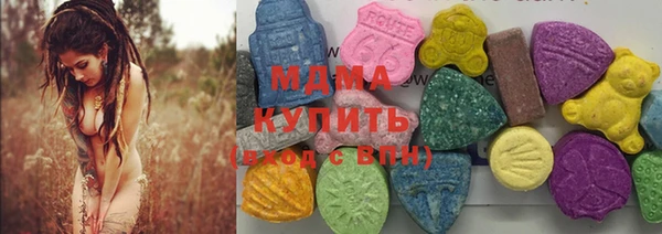 spice Богородицк